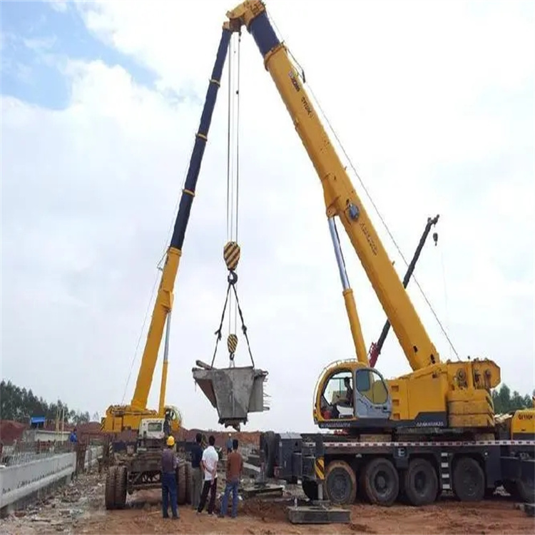 涡阳小型吊机出租电话|厂房设备吊装方案|24小时服务覆盖